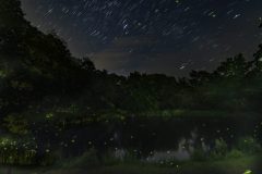 2019.07.07-Fireflies-Pond-scaled
