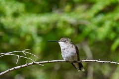 64CA020B-07A5-4566-8FFA-6DF0B0AA642F-scaled