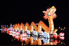 750_1157-slight_edit-1-scaled