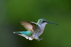 777A7543-C05C-42C1-9501-215A82AB6CF4-scaled