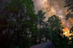 D202680B-CFE4-494E-835D-19B676FC3C77-scaled