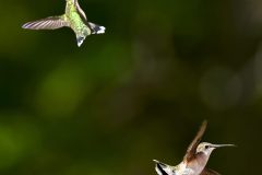 D8693158-8A02-4A01-A29C-24FC393E3066-scaled