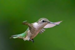 EEE46B32-3017-4FD9-87BD-6E205172497B-scaled