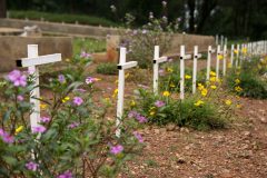 noels-town-arlington-alike2-scaled